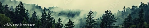 Mountains landscape and fog covered forest of pine © BrandwayArt