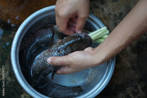 Human hands use fish to cook food.