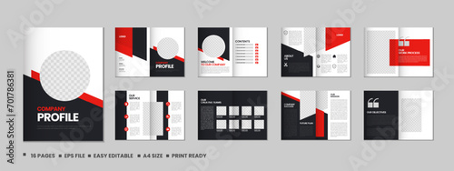 Company profile, multipage flyer brochure, 16 pages portfolio magazine, annual report, catalog and a4 multipage template design
