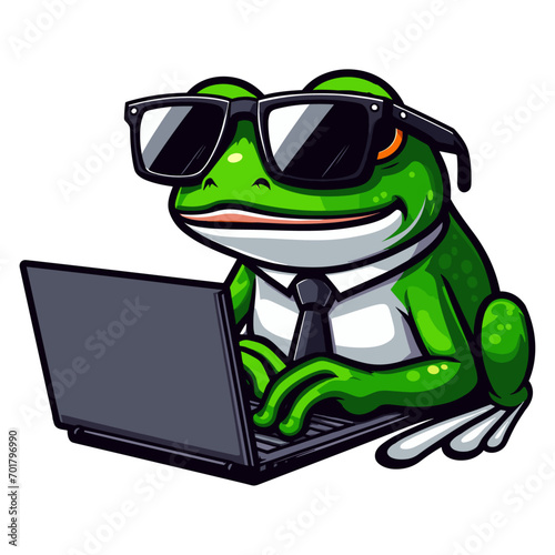 Colorful frog with a laptop Vector on a white background