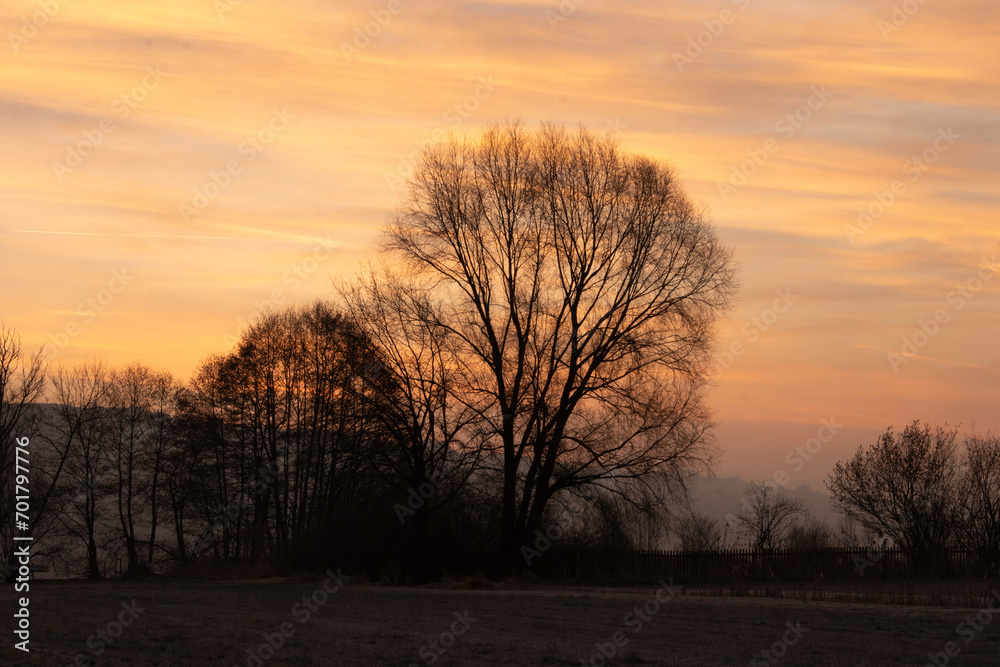 Naklejka premium Sonnenuntegang
