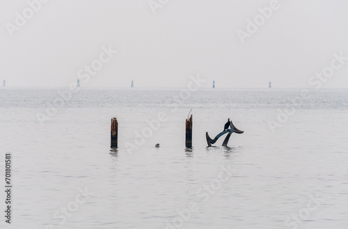 Grado (Italy) sea during a winter day with a thick fog which makes the environment suggestive and mystical. In the distance, a cormorant perched on the dolphin structure off the dam. Low visibility.