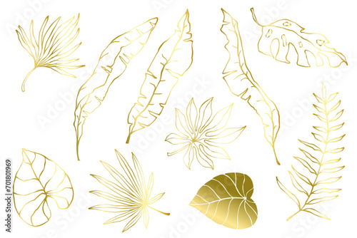 Golden linear sketches of tropical leaves.Decorative botanical elements.Vector graphics.
