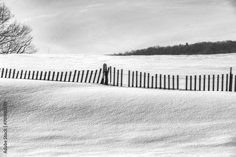 Snow fence in the winter