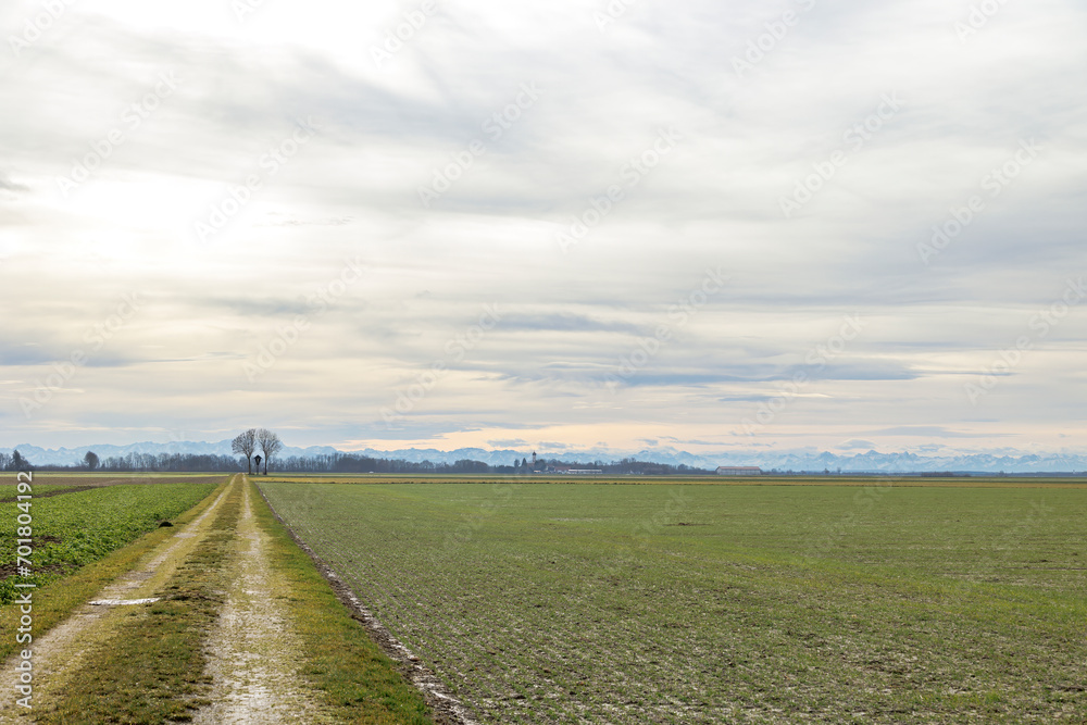 a field path near Graben near Augsburg leads to a wayside cross under a cloudy sky with the Alps in the background a field path near Graben near Augsburg leads to a wayside cross under a cloudy sky with the Alps in the background