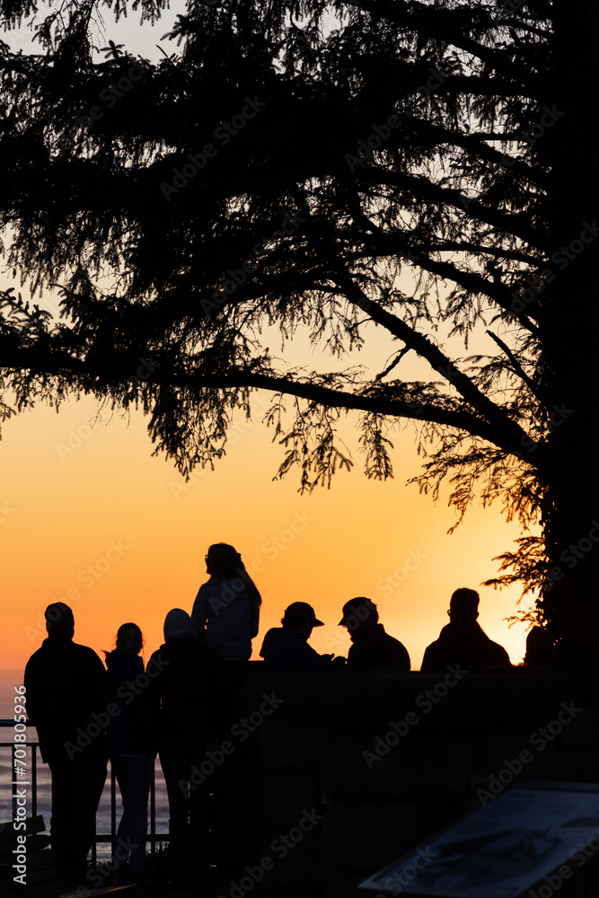 Fototapeta premium People watching the sunset along the beach
