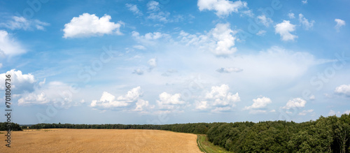 Sunny nature. Picturesque s...