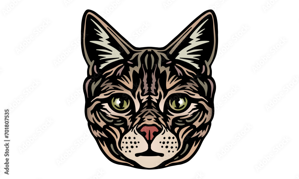 Domestic_Shorthair_Cat_on_white_background Domestic_Shorthair_Cat_on_white_background