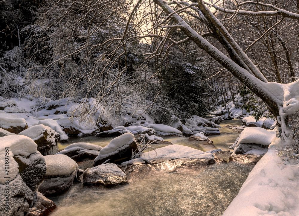 Small stream in the winter Small stream in the winter