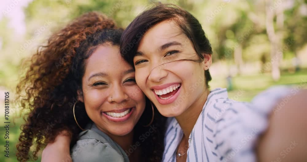 Social media, face or lesbian couple in a selfie in park together on a blog network app online. Gay, lgbt or happy women hug in fun pictures with a smile or photograph memory to post, bond or relax