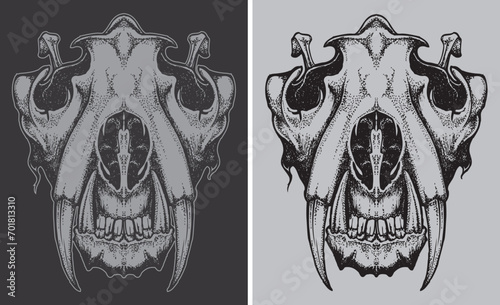 Smilodon skull hand draw vector illustration in black white