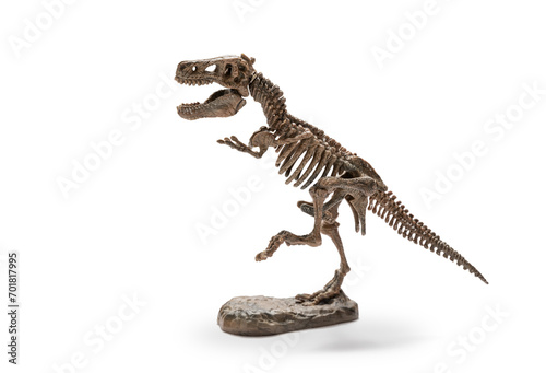 Tyrannosaurus Rex skeleton on white background