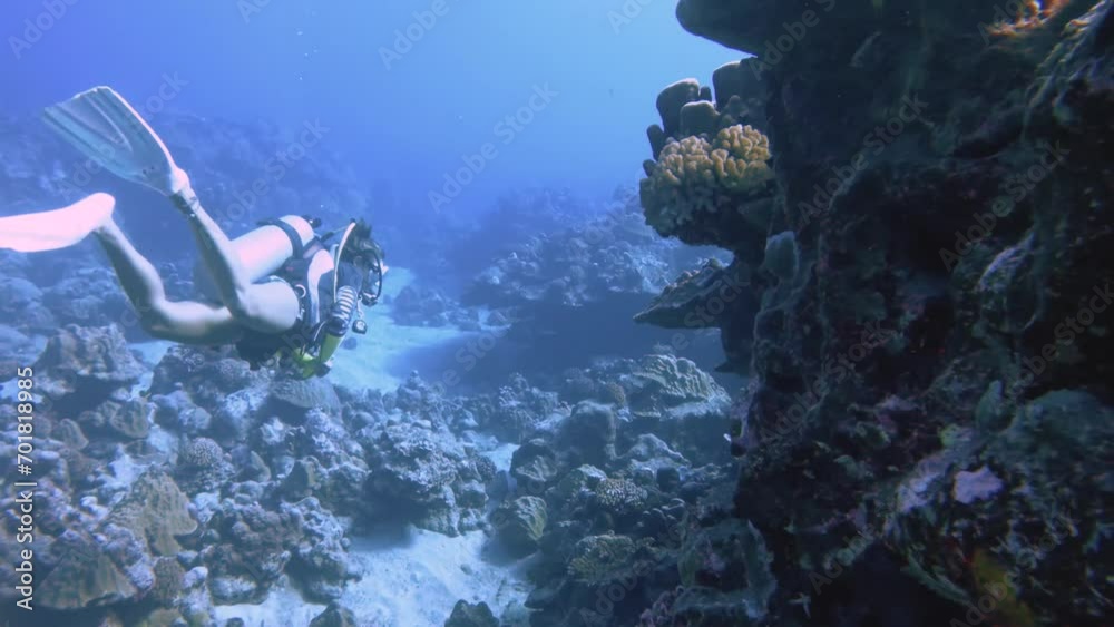 close up of underwater view of a female woman scuba diver swimming ...