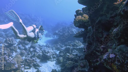 close up of underwater view of a female woman scuba diver swimming wearing diving gear equipment of bcd regulator fin and mask around Orbicella faveolat mountainous star coral colony at the ocean sea photo