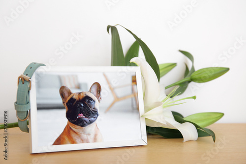 Frame with picture of dog, collar and lily flowers on wooden table near light wall. Pet funeral photo