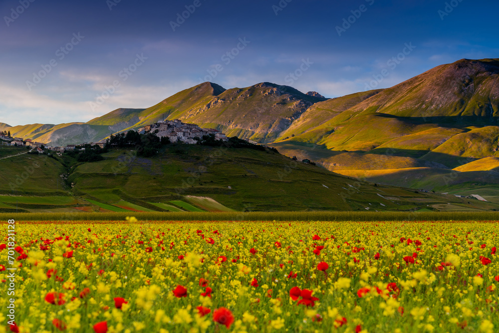 Castelluccio of Norcia blooming. Monti Sibillini National Park, Perugia district, Umbria, Italy, Europe.