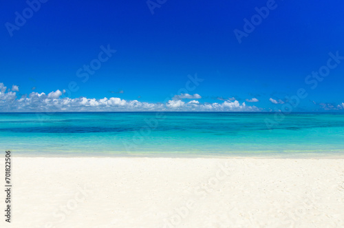 Fototapeta Naklejka Na Ścianę i Meble -  Tropical beach. Tropical sea under the blue sky
