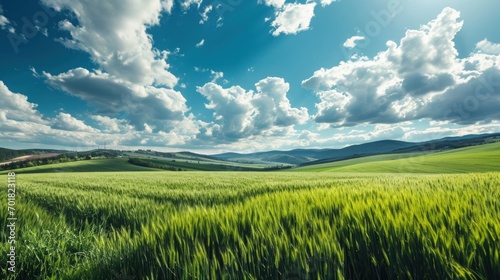 Field of Lush Green Grass Under a Serene Blue Sky