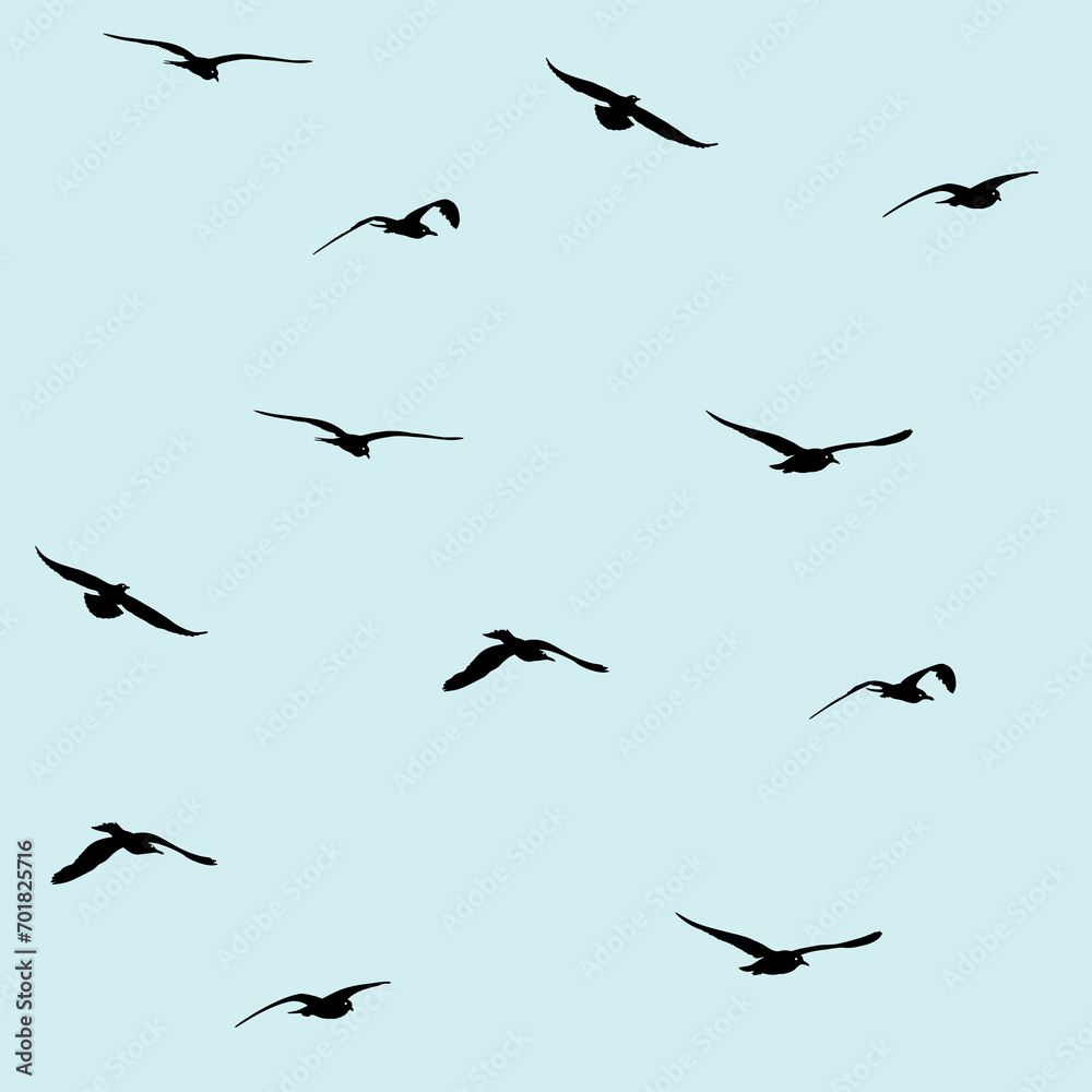 Fototapeta premium flying seagull seamless pattern in black with light blue background