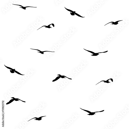flying seagull seamless pattern in black