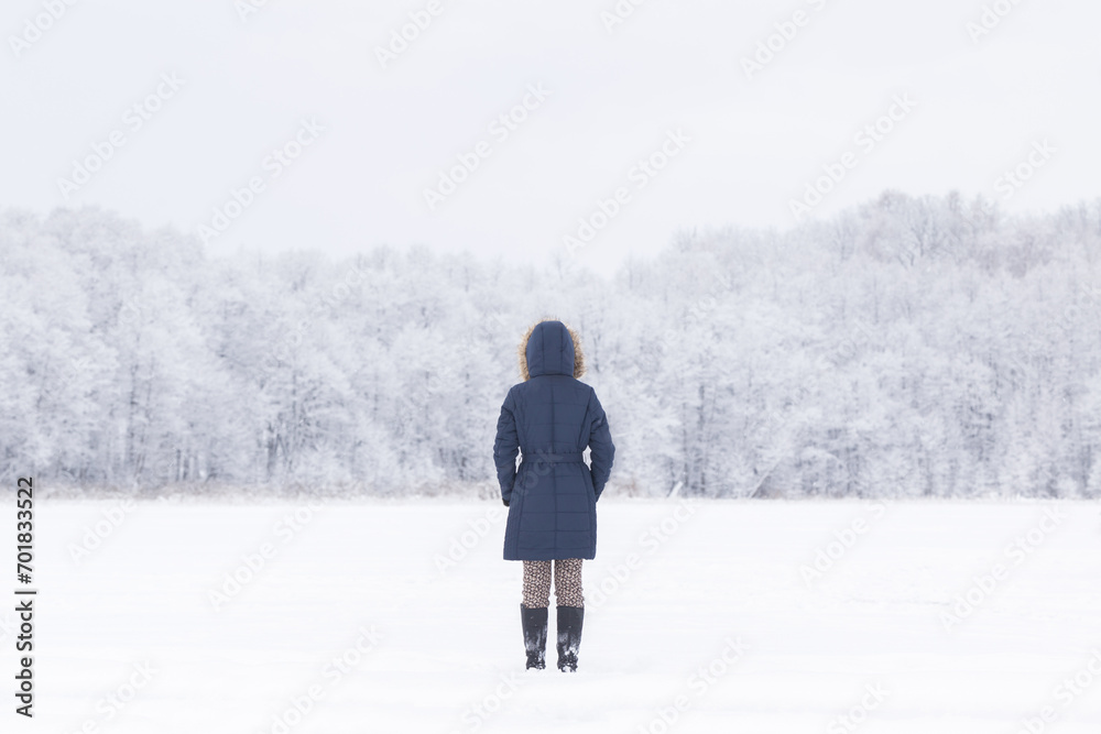 Young adult woman standing on snow covered lake shore and looking far away at forest trees. Spending time alone in white cold snowy winter day. Peaceful atmosphere in nature. Back view.
