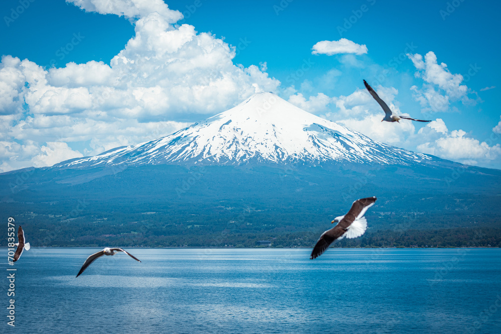 Volcano and seagulls