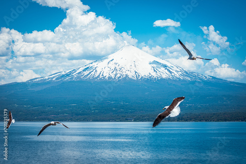 Volcano and seagulls