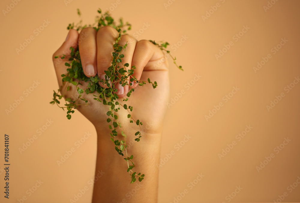 woman hands holding a bunch of flowers