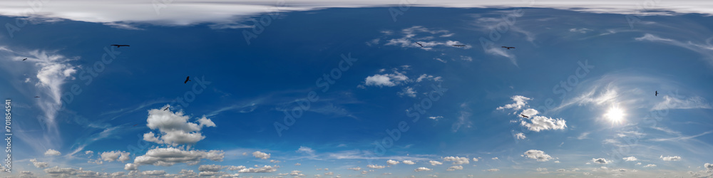 Fototapeta premium seamless blue sky hdri 360 panorama view flock of birds in clouds as skydome for edit drone shot or sky replacement
