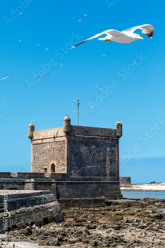 Borj El Barmil, tower of Essaouira ramparts at the harbour of Essaouira, Morocco, North Africa photo