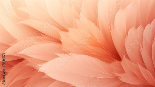 Peach Fuzz color background.