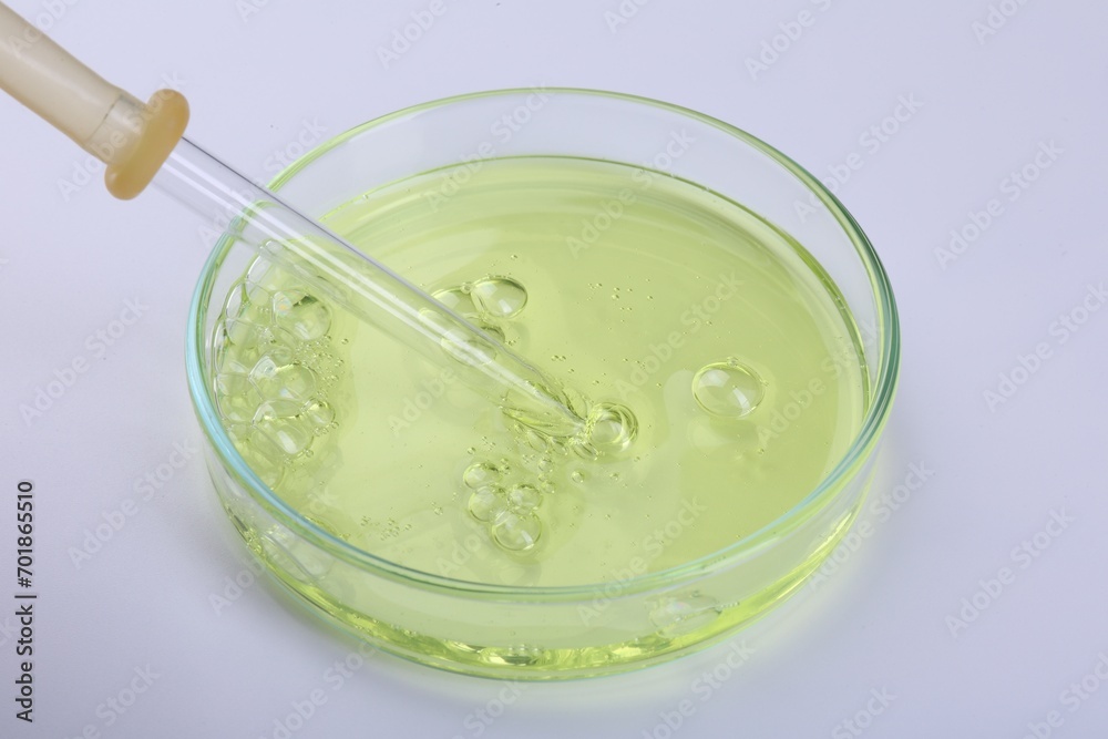 Petri dish with liquid sample and pipette on white background Petri dish with liquid sample and pipette on white background