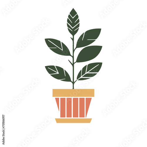Vector illustration in cartoon flat style. Large natural houseplant. Beautiful trendy decorative plants for home and office.