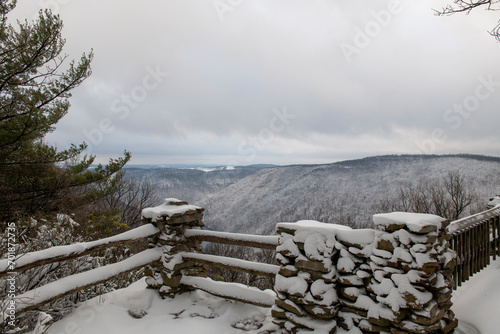 фотографія Coopers Rock overlook in the winter