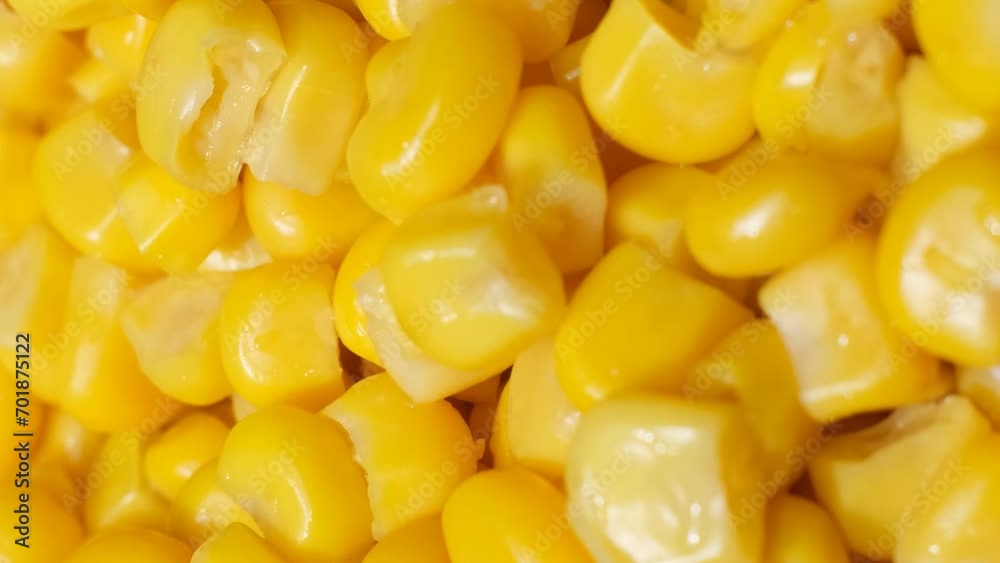 Fresh corn rotates in a circle. Corn background. The concept of agriculture. Vertical video Fresh corn rotates in a circle. Corn background. The concept of agriculture. Vertical video