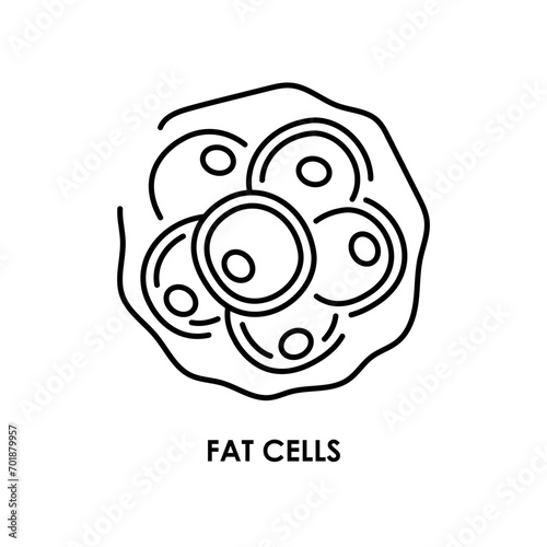 Fat cells color line icon. Microorganisms microbes, bacteria.