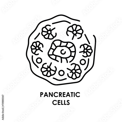 Pancreatic cell color line icon. Microorganisms microbes, bacteria.