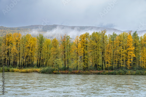 Scenery along the Alaska Railroad from Anchorage to Denali, Alaska