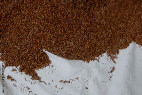 Ragi or finger millet on a white cloth