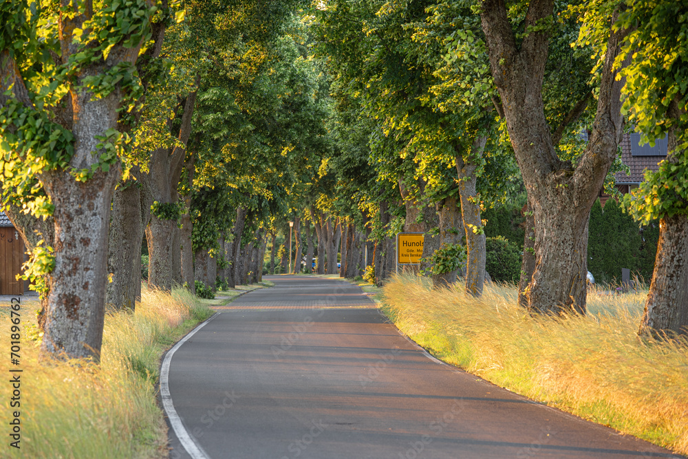 Allee mit Ortseingang des Dorfes Hunolstein im Hunsrück Allee mit Ortseingang des Dorfes Hunolstein im Hunsrück