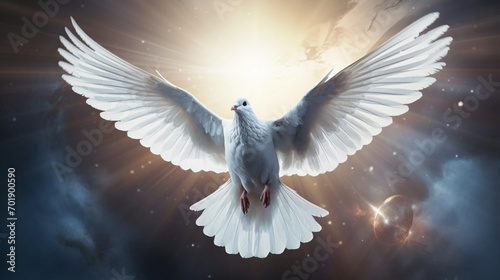 A dove with outstretched wings