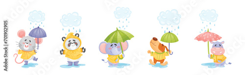 Happy Animals Wearing Coat Walking in Rainy Day with Umbrella Vector Set