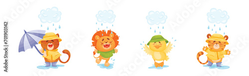 Fototapeta Naklejka Na Ścianę i Meble -  Happy Animals Wearing Coat Walking in Rainy Day with Umbrella Vector Set