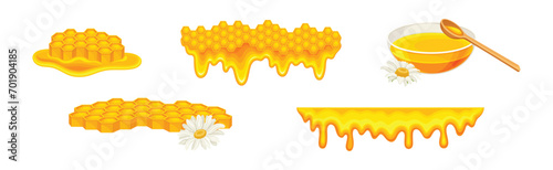 Honey Product with Glass Bowl and Honeycomb Vector Set