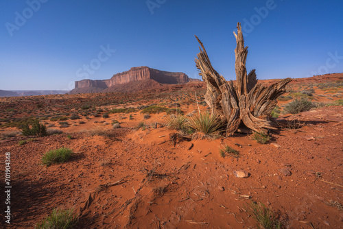 Obraz na płótnie hiking the wildcat trail in monument valley, arizona, usa w salonie