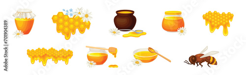 Honey Product with Bee, Pot, Dipper and Honeycomb Vector Set