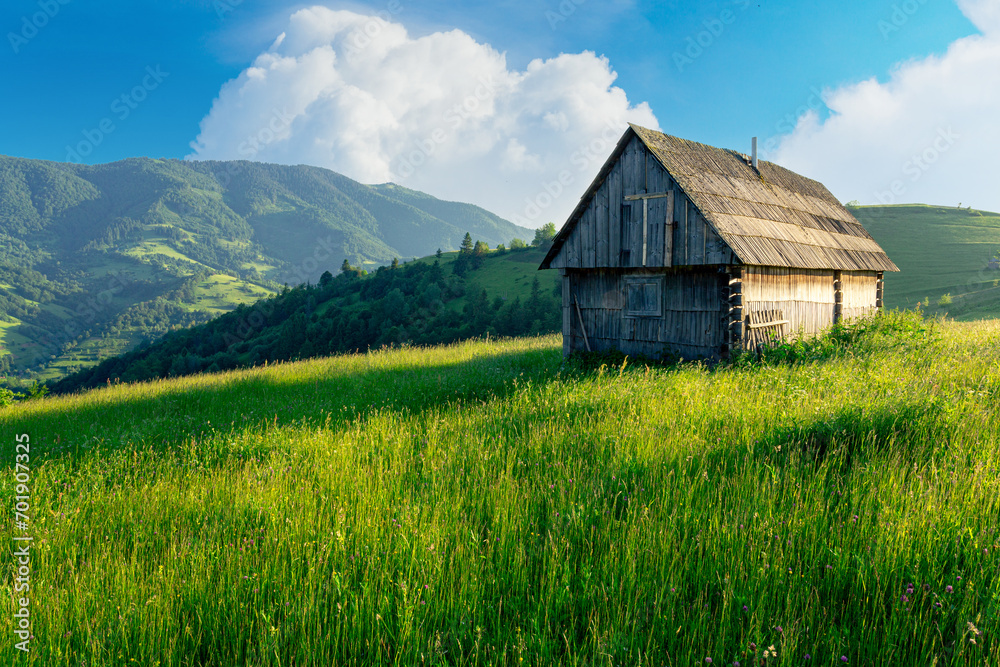 Obraz premium Majestic rural grassland in the Carpathian mountains. Ukraine. Rustic lonely wooden house on the green grass summer hill under the beautiful sky with cumulus clouds.