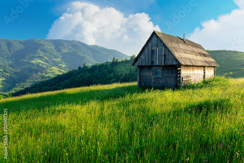 Majestic rural grassland in the Carpathian mountains. Ukraine. Rustic lonely wooden house on the green grass summer hill under the beautiful sky with cumulus clouds. photo