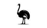ostrich Black White Stock Vector , detailed peacock black and white vector