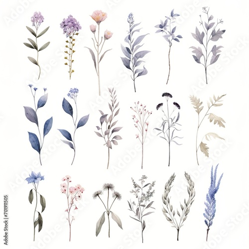 watercolor flowers, a set of illustrations in handmade watercolor style on a white background, generative ai 